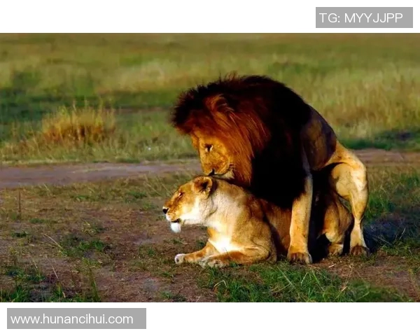 肯尼亚与坦桑尼亚的精彩对决分析及未来发展展望